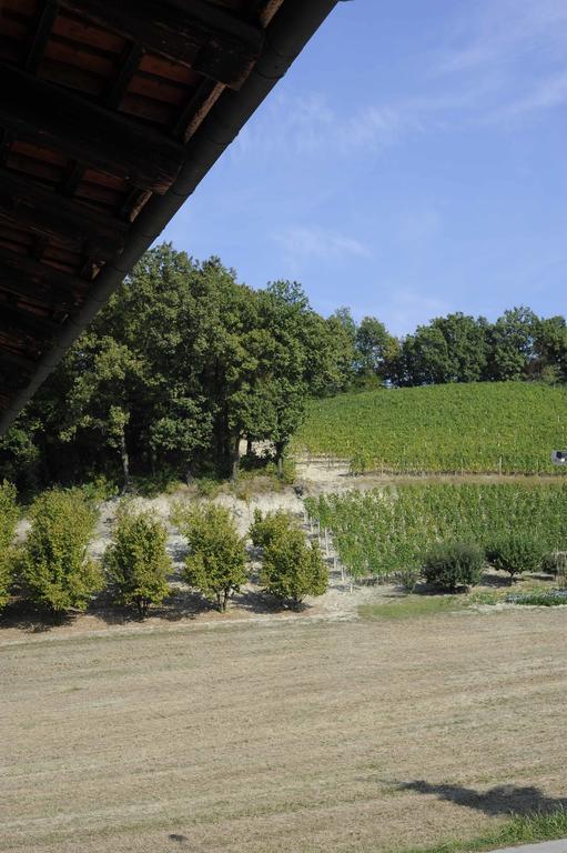 Agriturismo La Bioca Castiglione Falletto Eksteriør billede